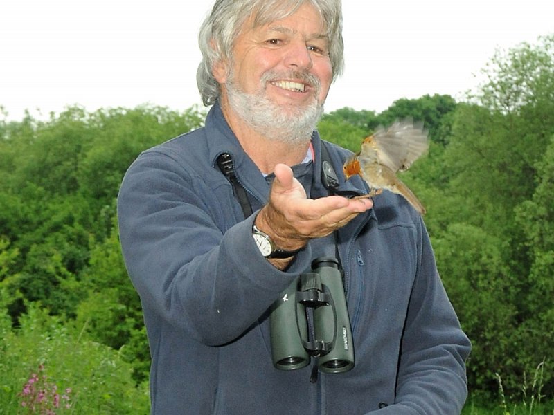 Mr Wildlife